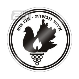 Hapoel Mevaseret Zion