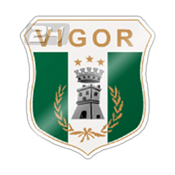 Vigor Lamezia