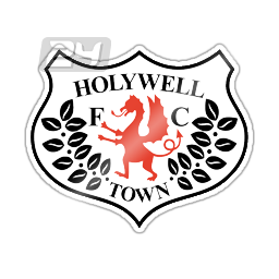 Holywell Town