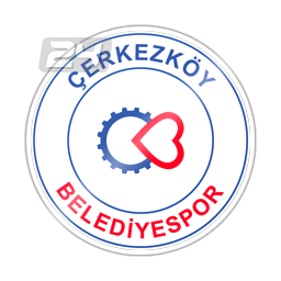 Cerkezkoyspor